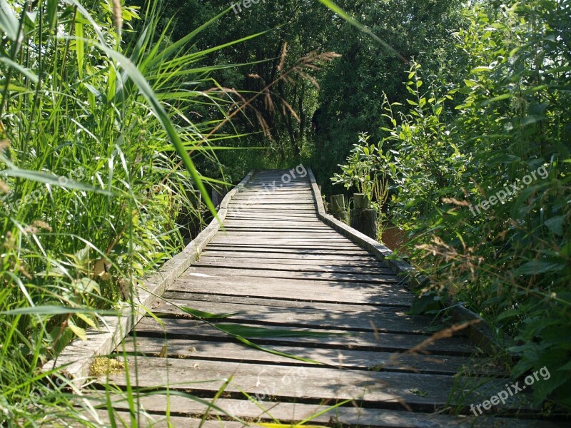 Bridge Web Uncertain Wooden Bridge Nature