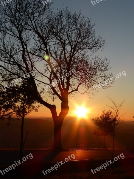 Abendstimmung Tree Sunset Sun Romance