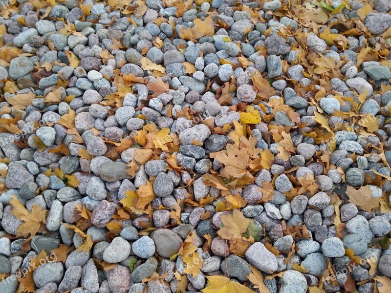 Stone The Land Leaf Autumn Foliage