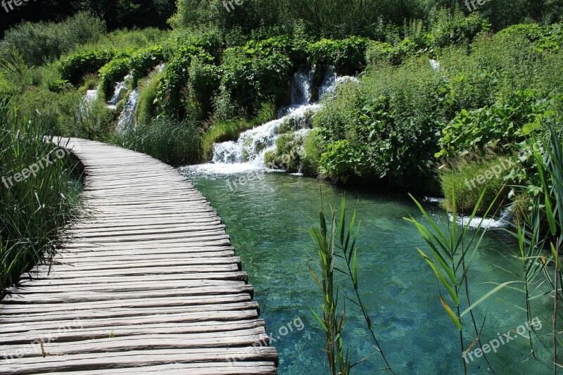 Web Water Lake Nature Bridge