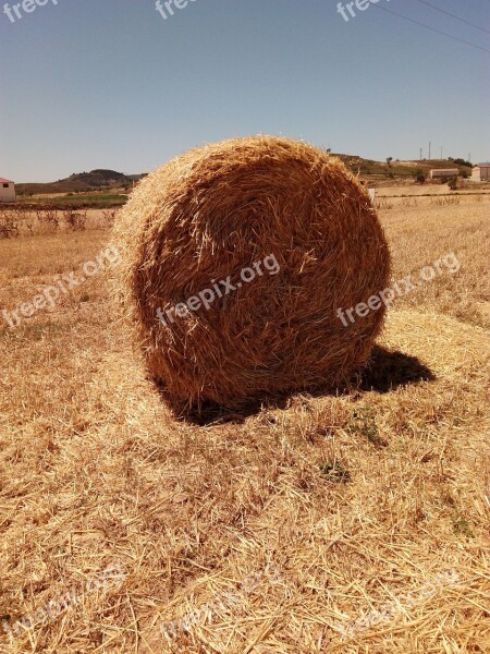 Sky Straw Rolls Field Nature