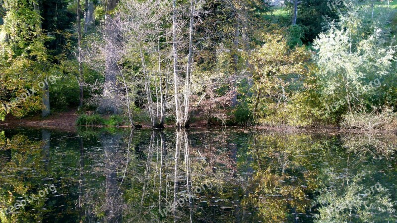 Autumn Forest Waldsee Free Photos