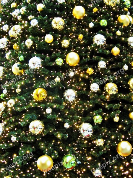 Golden Fir Ball Golden Christmas Tree Advent Adventlich Gold