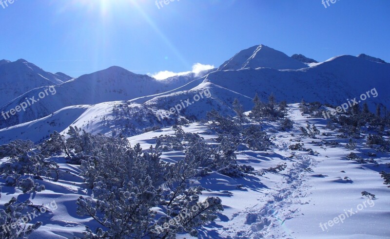 Tatry Poland Mountains Winter Landscape