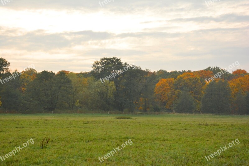 Autumn Autumn Meadow Emerge Leaves Red