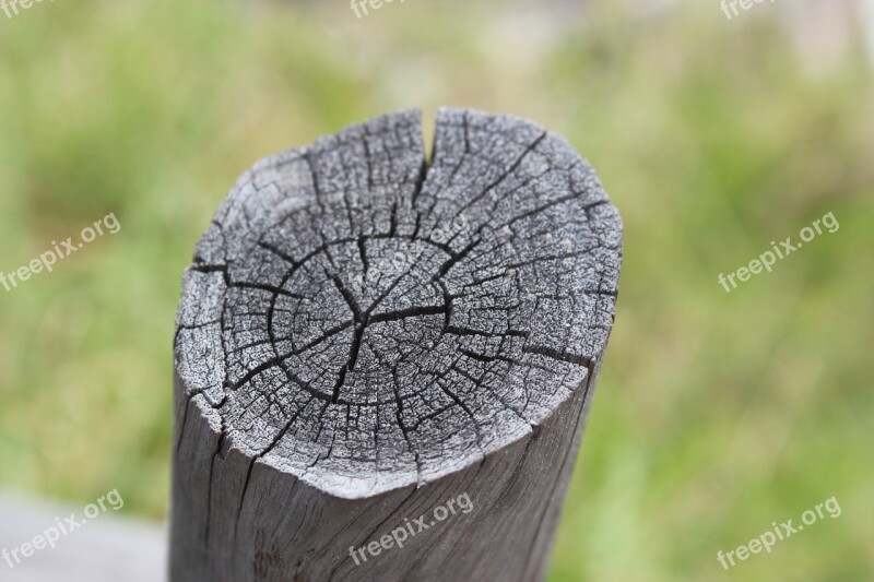 Wood Circumference Years Old Wood Fence Free Photos