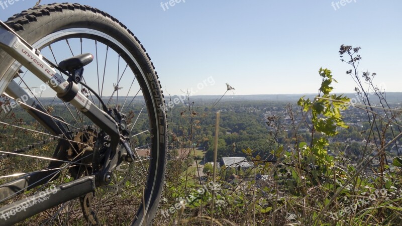 Bike Mature Mountain Bike Wheel Spokes