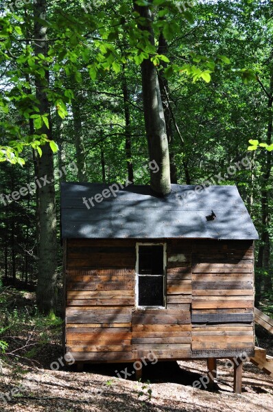 Wood Foresr Hut Wooden House Skovsnogen