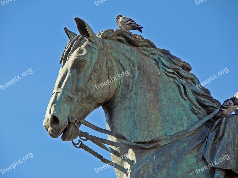 Sculpture Horse Paloma Statue Bronze