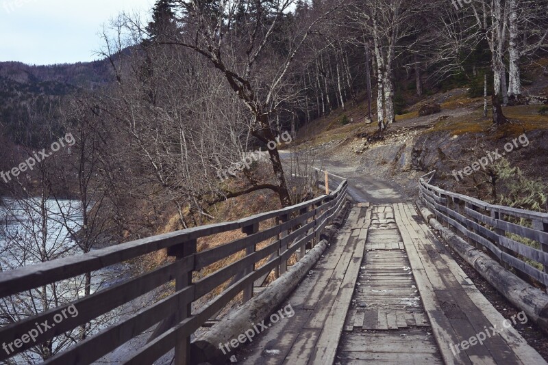 Old Bridge River Mountains Trees