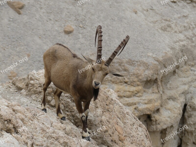 Israel Travel Tourism East Ancient