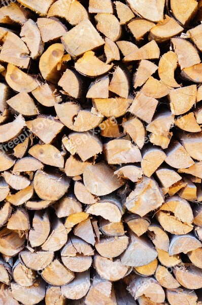 Wood Holzstapel Firewood Nature Growing Stock