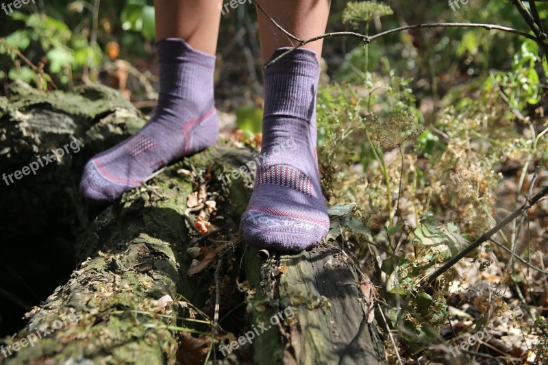 Socks Nature Forest Outdoor Feet