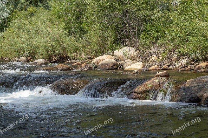 Stream Creek Rocks Waterfall Riffle