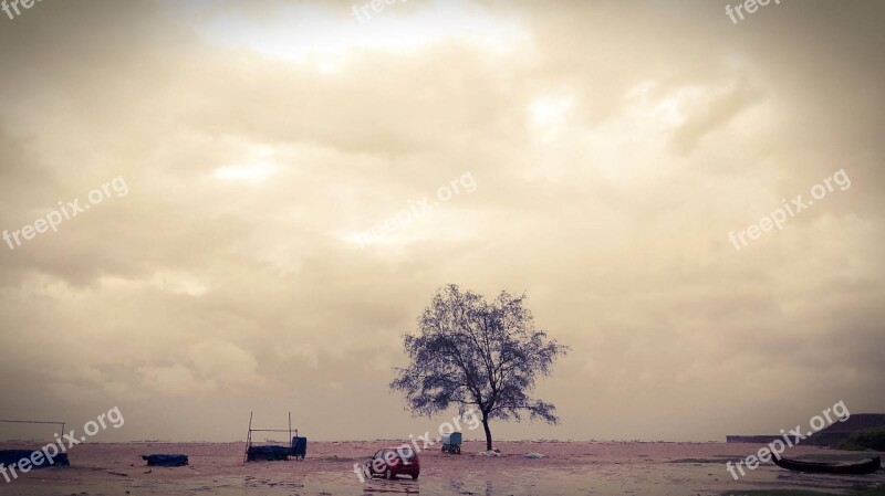 Nature Tree Landscape Dark Clouds