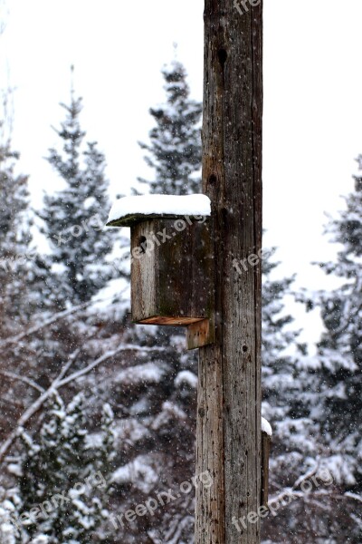 Birdhouse Snow Winter Nature Tree