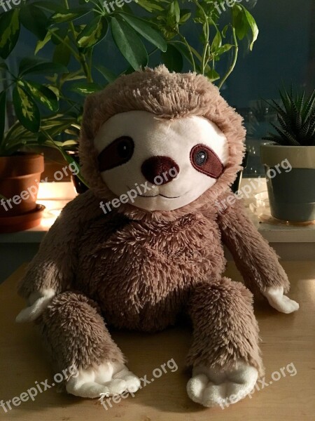 Sloth Stuffed Animal Cute Evening Plush