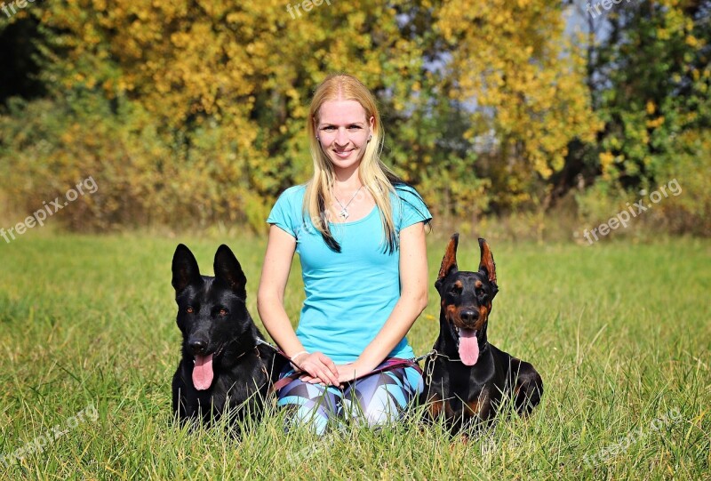 Doberman Black German Shepherd Dogs Blonde Woman Nature