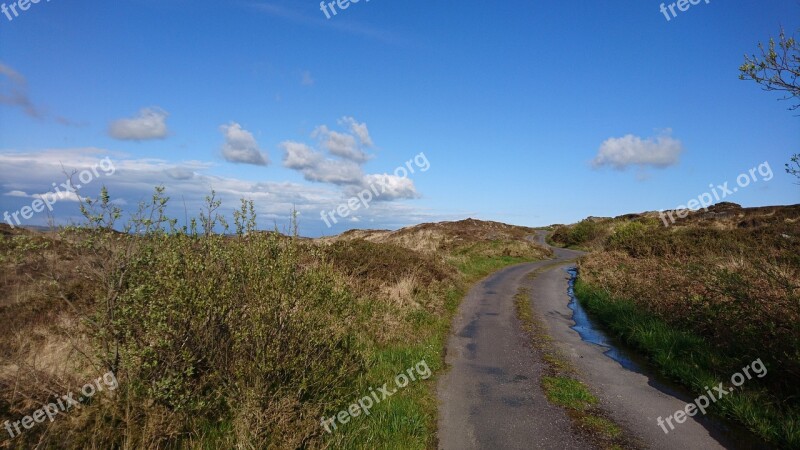 Ireland Country Road Field Landscape Scenic