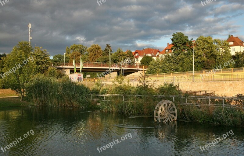 Erfurt South Kress Park Watercress Cress