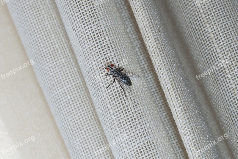 Fly Curtain Canvas Fabric Flies