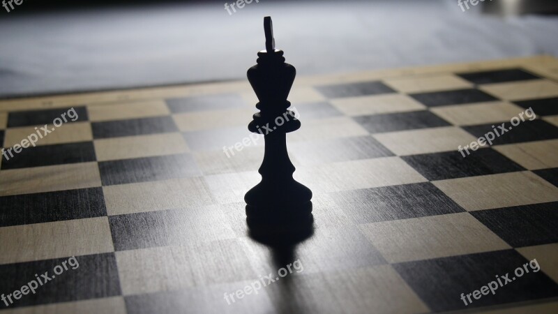 Chess King Chess Board Chess Pieces Checkmated