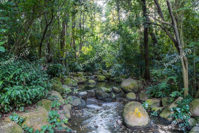 Garden Calouste Gulbenkian Foundation Stream Green Tree