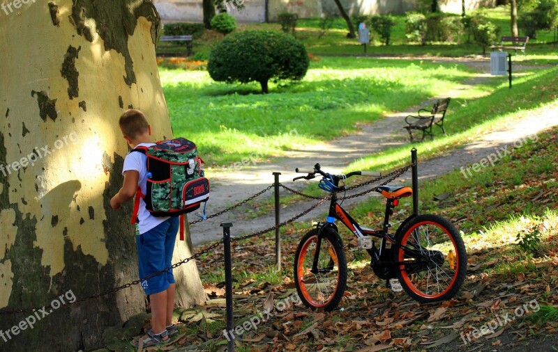 Child The Student Satchel Boy Curiosity