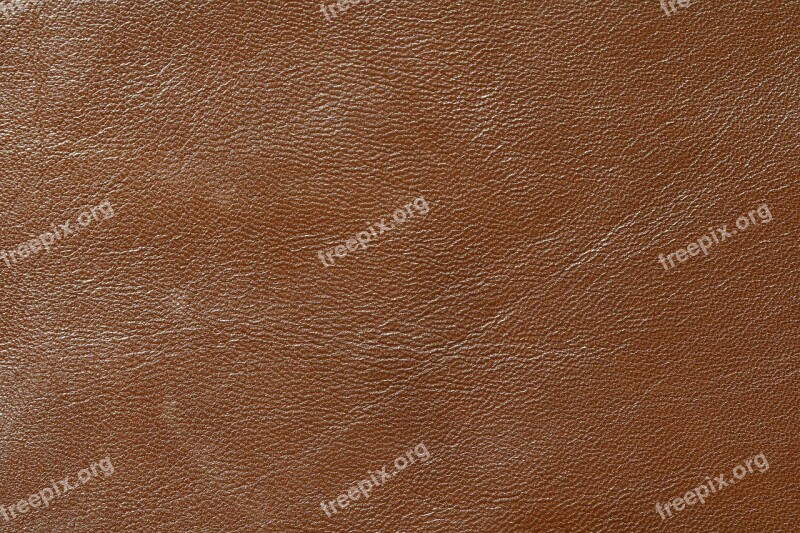 Leather Sheepskin Goat Leather Tan Animal