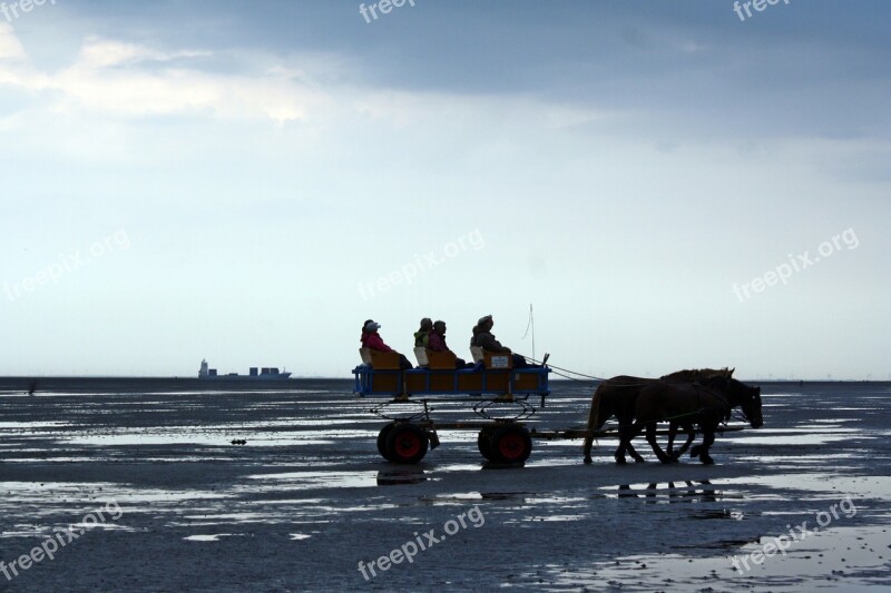 North Sea Wadden Sea Ebb Cuxhaven Watt Car Travel