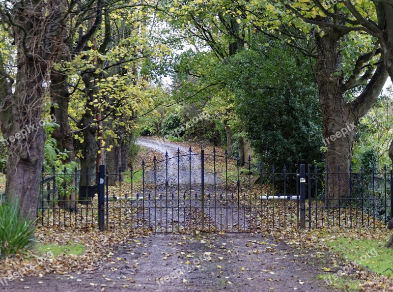 Driveway Country Lane Road Lane Country