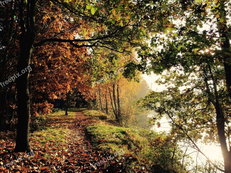 Nature Autumn Mood Beginning Of Autumn Forest Lake