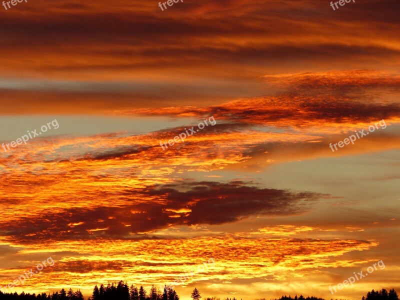 Sunset Gold Sun Abendstimmung Backlighting