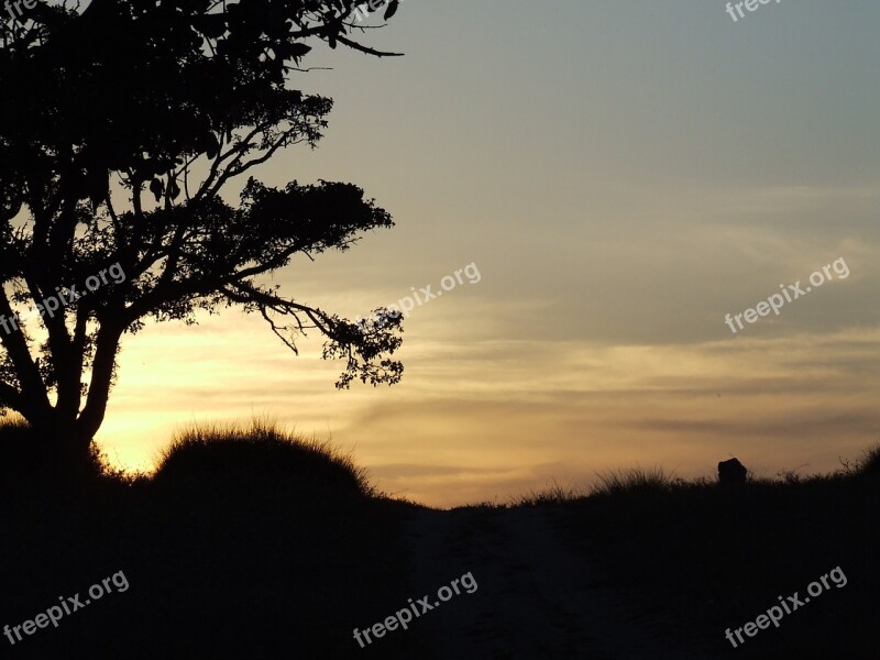 Sunset Sky Nature In The Evening Country