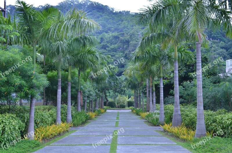 Palm Road As Having Trails To Pico Avenue Park Road Park