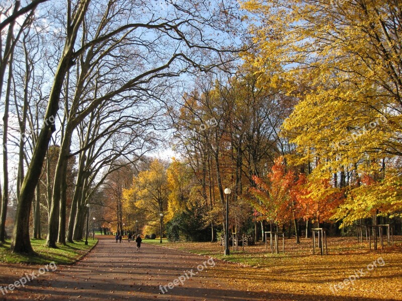 Autumn Park Lyon Parc De La Tête D'or Autumn Leaves