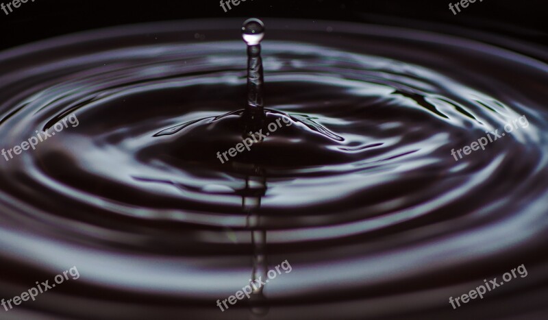 Water Droplet Macro Free Photos