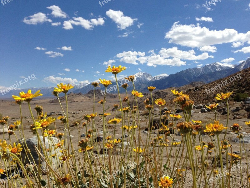 California Desert Sky Nature Landscape