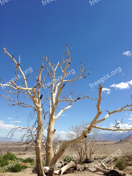 California Desert Sky Nature Landscape