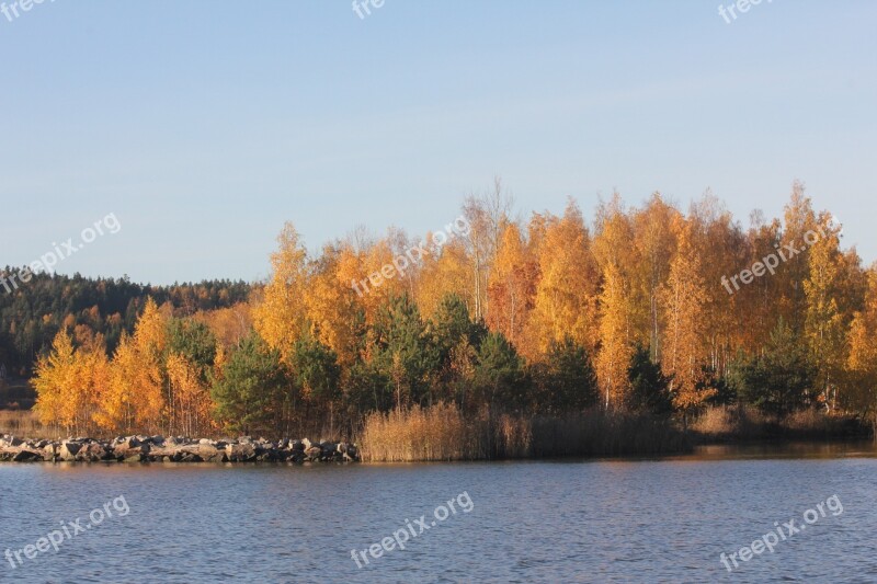 Sea Autumn Finnish Landscape Nature