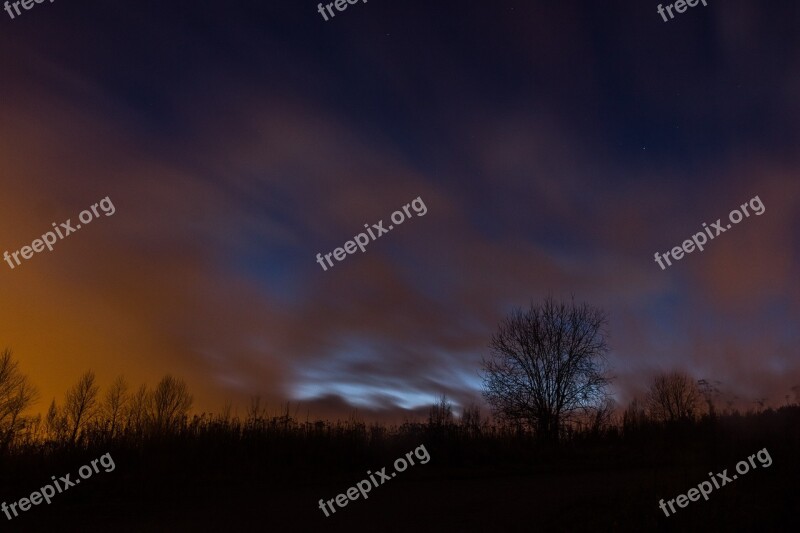 Lone Tree Nature Lonely Landscape