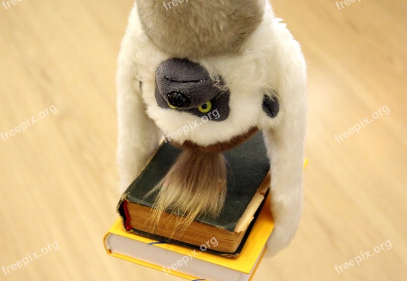 Monkey Books Hang Conversely Acrobat