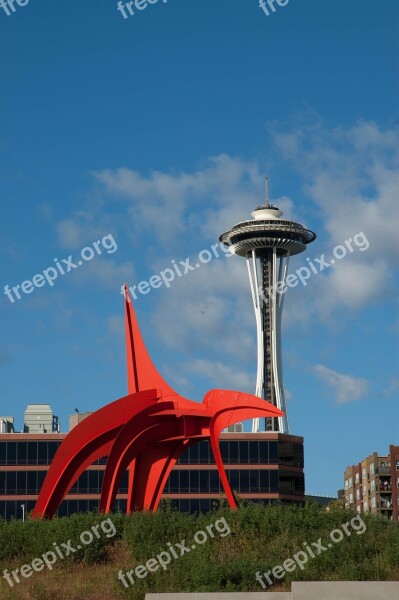 Eagle Red Sculpture Space Needle Seattle Seattle Art Museum