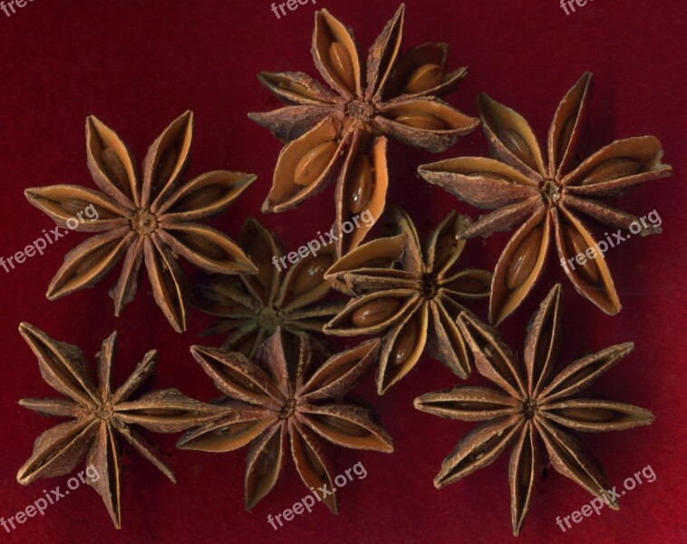 Star Anise Fruit Seeds Christmas Baked Goods