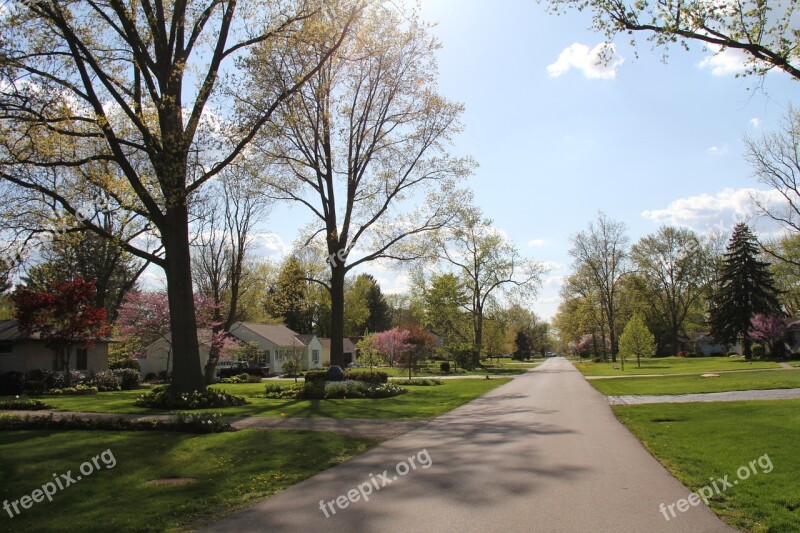 Neighborhood Spring Yard Architecture Landscape