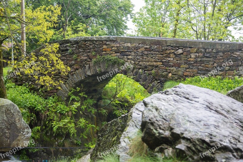 Bridge Park Trees Lago Maggiore Free Photos