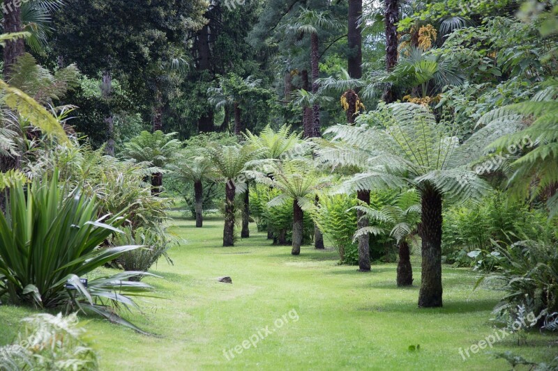 Park Landscape Trees Lago Maggiore Villa Taranto