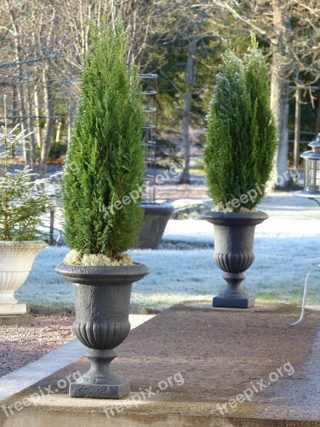 Pots Cypress Staircase Frost Garden