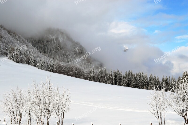 Winter Scene Mountain Wonderland Forest