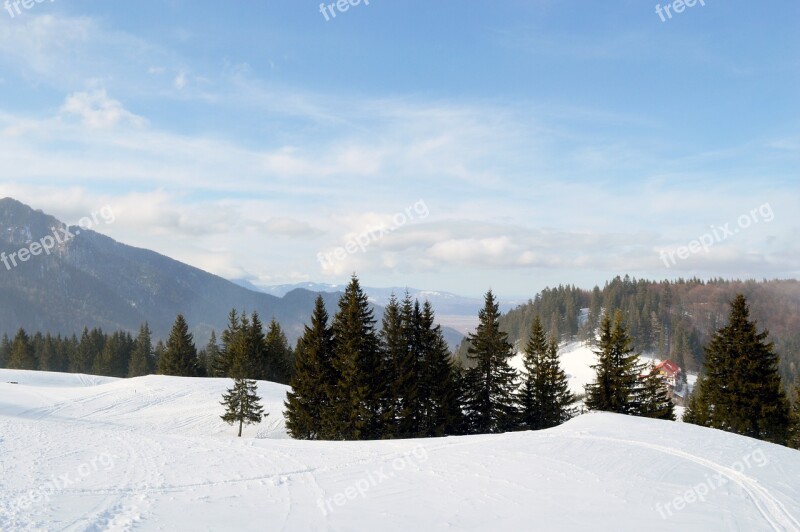 Winter Scene Mountain Wonderland Forest